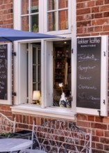 Detail photo, Houses in the Holländerviertel, Old Town of Potsdam, Brandenburg, Germany