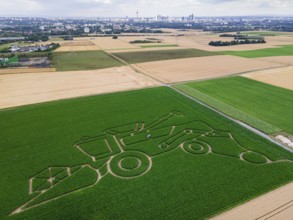 The maize maze of the Maize Spirits near Weißkirchen, near Frankfurt am Main, shows a combine