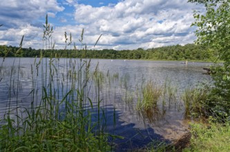 The Bullensee is located in a moorland area and is part of the Bullensee and Hemelsmoor nature