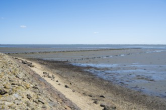 Wadden Sea at low tide, groynes, breakwater, Schleswig-Holstein Wadden Sea National Park, Pellworm