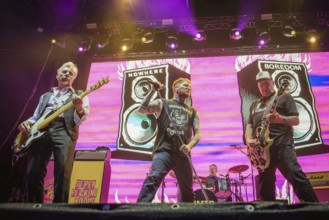 Steve Jones (guitarist), Frank Carter (singer), Paul Cook (drummer) and Glen Matlock (bassist) from