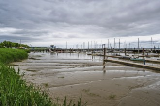 Pauillac, Gironde Estuary, Bordeaux, Gironde, Nouvelle-Aquitaine, France
