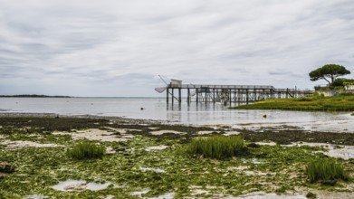 Fishing huts over Randonnee entre Histoire et Nature from a drone, Fouras, Fouras-les-Bains,