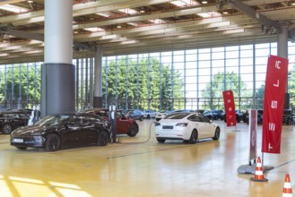 Standstill at the largest Tesla pick-up centre in Europe. Tesla's sales crisis is making itself