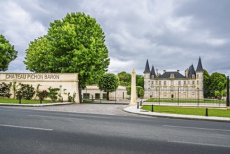 Vineyard of Chateau Pichon Longueville Baron Vineyard and grape fields around Pauillac, Bordeaux,