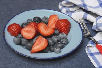 Plate with strawberries and blueberries, Fragaria, Vaccinium