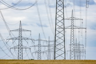 Many high-voltage power lines and lattice towers in the district of Ludwigsburg near Besigheim,