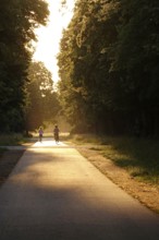 Evening atmosphere in a park, summer, Germany