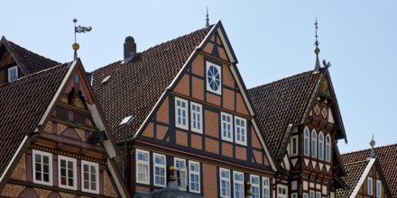 Half-timbered houses in the old town centre, Celle, Lower Saxony, Germany