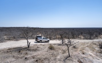 Off-road vehicle between dry bushes on a sandy track, Makgadikgadi salt pans, Botswana