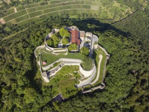 Luftbild von der hochmittelalterlichen Burgruine, Höhenburg Hohenneuffen am Albtrauf, Neuffen,