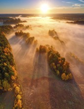Mystical foggy landscape in autumn, colorful forest with fog in an aerial drone view, AI generated