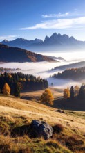 Mystical foggy landscape in autumn, colorful trees in fog, misty mood nature atmosphere, AI