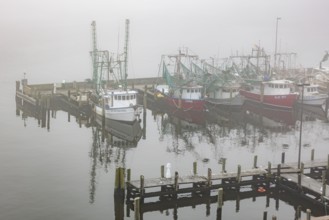 Commercial shrimp boats at the dock in the commercial area of the Biloxi Small Craft Harbor in