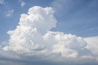 Auftürmende Cumulonimbuswolke, Gewitterwolke, aufziehendes Unwetter mit Hagelsturm über der