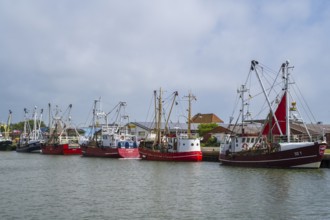 Fishing boats in the fishing harbour, Büsum, North Sea, Schleswig-Holstein, Germany