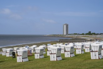 Beach chairs on the green beach, high-rise building, Büsum, North Sea, Schleswig-Holstein, Germany