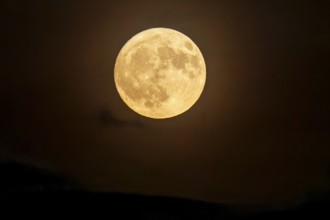 Yellow full moon shines calmly in the nightly darkness, full moon, strawberry moon 2025, Germany