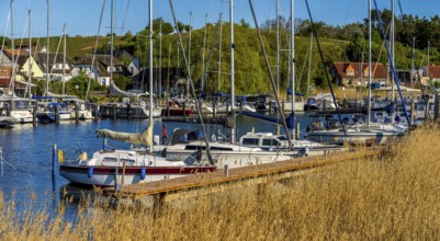 Jetty and landscape at Lake Neuensien in Seedorf, Rügen, Mecklenburg-Western Pomerania, Germany