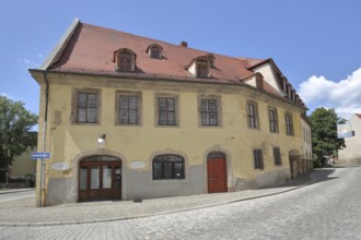 Historic building of the Domapotheke zum Rautenkranz, former pharmacy, Merseburg, Saxony-Anhalt,