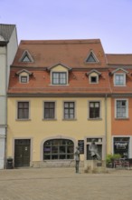 Holzmarkt with house and monument to philosopher Friedrich Nietzsche, Saale, Naumburg,