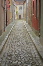 Narrow alley with houses, long narrow, alleyway with cobblestones and vanishing point, Judengasse,