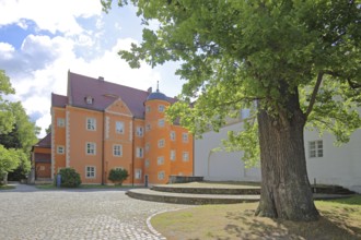 Prince's house backlit by the former Cistercian abbey, Schulpforte, Pforta State School, Bad Kösen,