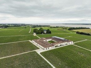 Chateau Latour Vineyard and grape fields around Pauillac from a drone, Bordeaux, Gironde,
