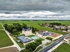 Chateau Pichon Longueville Baron Vineyard and grape fields around Pauillac from a drone, Bordeaux,