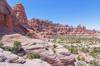 Sandstone pinnacles, Chesler Park, The Needles district, Canyonlands National Park, Utah, USA