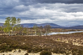 Rannoch Moor over Loch Ba and Loch of the Armpit, A82 Highland Way, Argyll and Bute, West