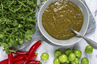 Tkemali sauce, made from green cherry plum, with ingredients on the table, top view, Georgian