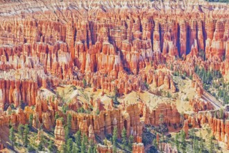 Bryce Canyon, Bryce Canyon National Park, Utah, USA