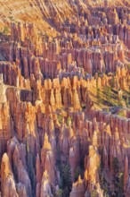 Bryce Canyon, Bryce Canyon National Park, Utah, USA