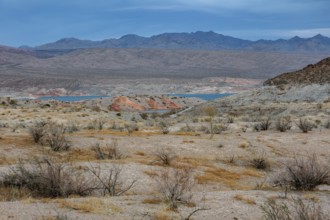 Echo wash drains into the Overton Arm of Lake Mead at Echo Bay, Nevada, USA