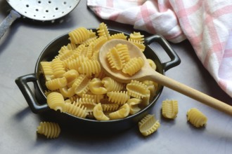 Italian pasta in pot with wooden spoon, Radiatori variety