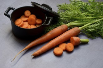 Carrots with leafy greens, carrot slices, Daucus carota