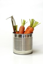 Tinned carrots