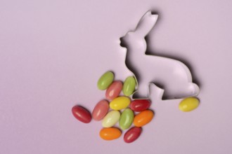 Bunny baking tin and sugar Easter eggs, cookie cutter