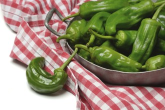 Padron chilli peppers in shell, Pimientos de Padron