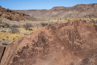 Depictions of animals on a rock slab, petroglyphs, rock engravings, Twyfelfontein, Kunene, Namibia