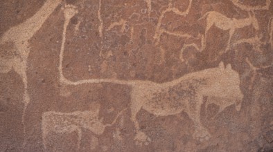 Detail, rock engraving of a lion, depictions of animals on a rock slab, lion slab, petroglyphs,