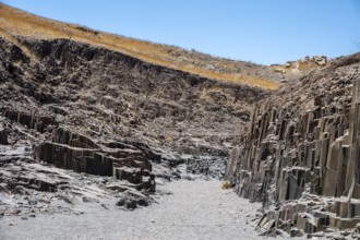 Dry river valley with basalt rocks, rock formation Organ Pipes, Damaraland, Kunene, Namibia