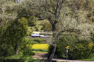 Regional train travelling on the Swabian Alb. Landscape on the railway line in spring. Lonsee,