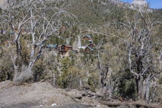 Mountainside homes and cabins in the Spring Mountains at Mount Charleston, Nevada, USA