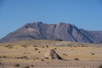 Dry landscape in front of the Brandberg, Damaraland, Namibia