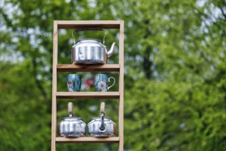 Tea kettle, kettle and tea cup on a shelf, decoration, Keukenhof gardens, Lisse, Bollenstreek,