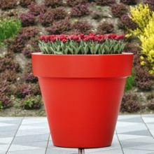 Large flower pot with tulips, Keukenhof gardens, Lisse, Bollenstreek, South Holland, Netherlands