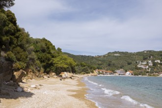 Platanias beach on the Aegean Sea, Pelion or Pelion peninsula, Magnisia, Thessaly, Greece