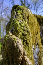 Growing rock, Steinerne Rinne in Usterling, Johannisfelsen natural monument, near Landau an der